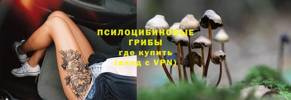 стаф Абдулино