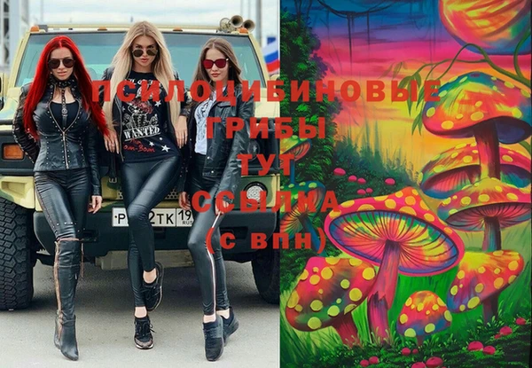 эйфоретик Абинск