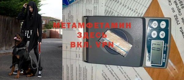 сатива Абаза