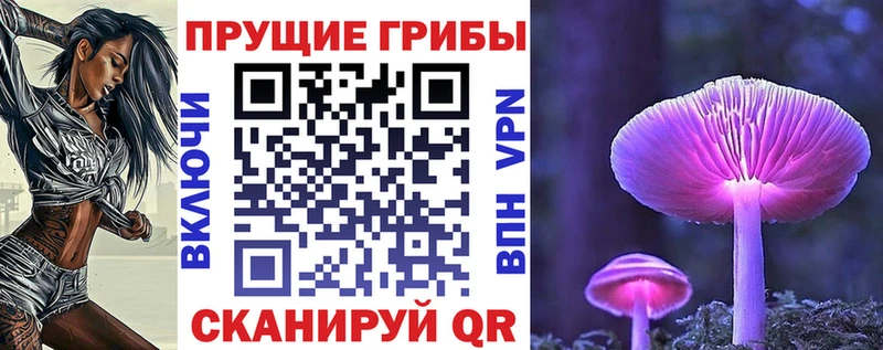 купить сайты Барыш Галлюциногенные грибы GOLDEN TEACHER